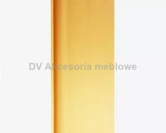 UCHWYT T.LISTWA KORYTK.POJ. PIONOWA L 2500 ZŁOTY