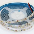 LED 24V STRONG 12W/m (120)  zimna biała 5MB - 2