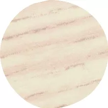 ZAŚLEPKA  20/15SZT 4819 JASNY DĄB BIAŁY