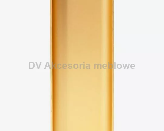 UCHWYT T.LISTWA KORYTK.POJ. PIONOWA C 5000 ZŁOTY