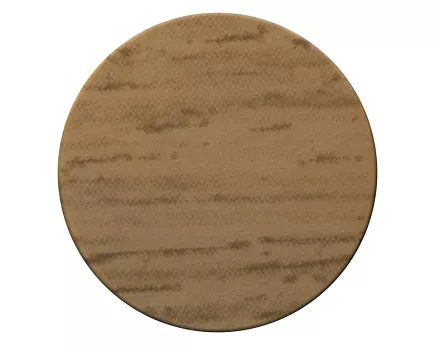 ZAŚLEPKA 4731 DĄB JASNY 13/20SZT 