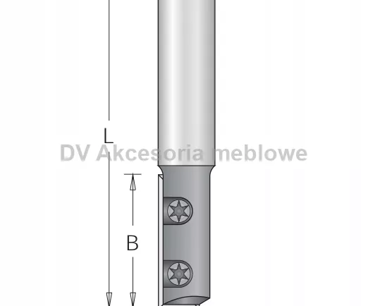 FREZ D GŁOWICA 1 PŁYTKOWA D=12 B=30 L=77 d=12