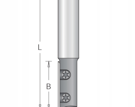 FREZ D GŁOWICA 1 PŁYTKOWA D=12 B=30 L=77 d=12