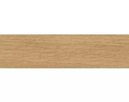 ABSB H1318 ST10 Dąb dziki naturalny 43/2